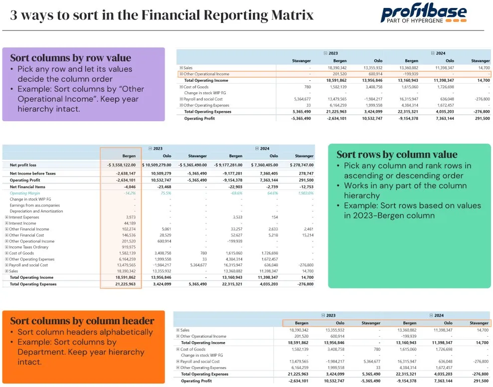 Financial Reporting Matrix by Profitbase — 3 cách sắp xếp
