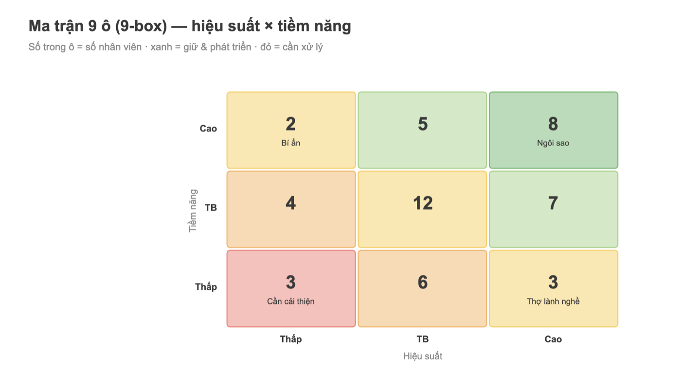 Ma trận 9-box Tableau hiệu suất và tiềm năng nhân viên